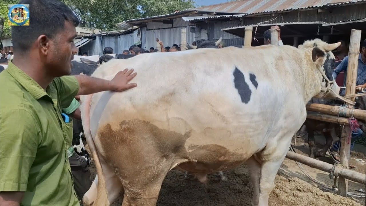 @ আজ ১৭ মার্চ