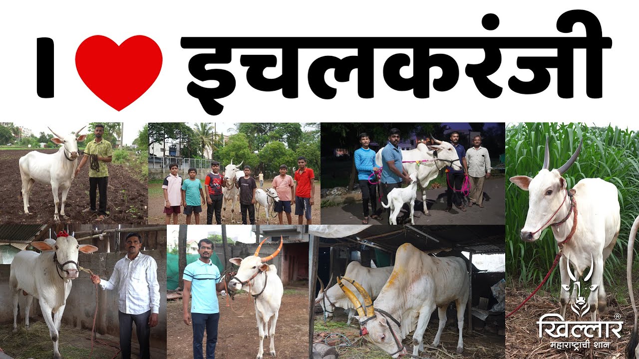 I Love इचलकरंजी | Khillar Maharashtrachi Shaan 2025