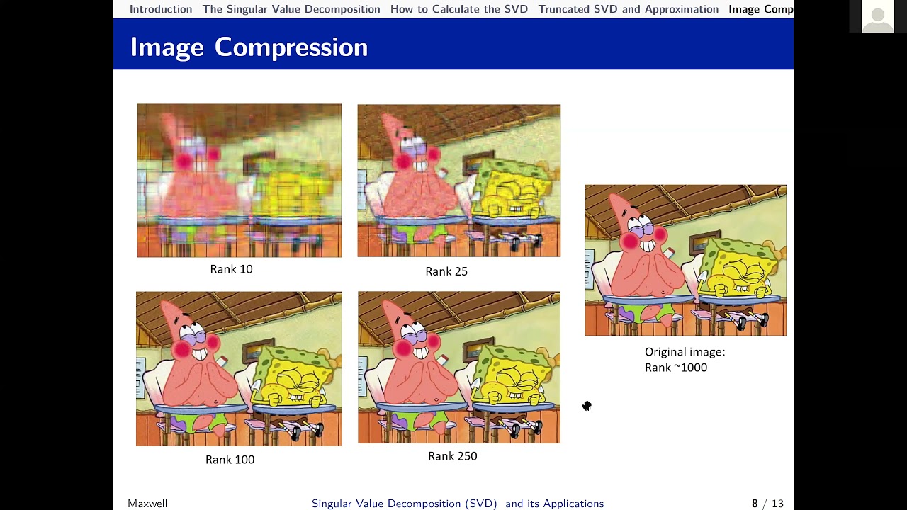 Singular Value Decomposition and its Applications