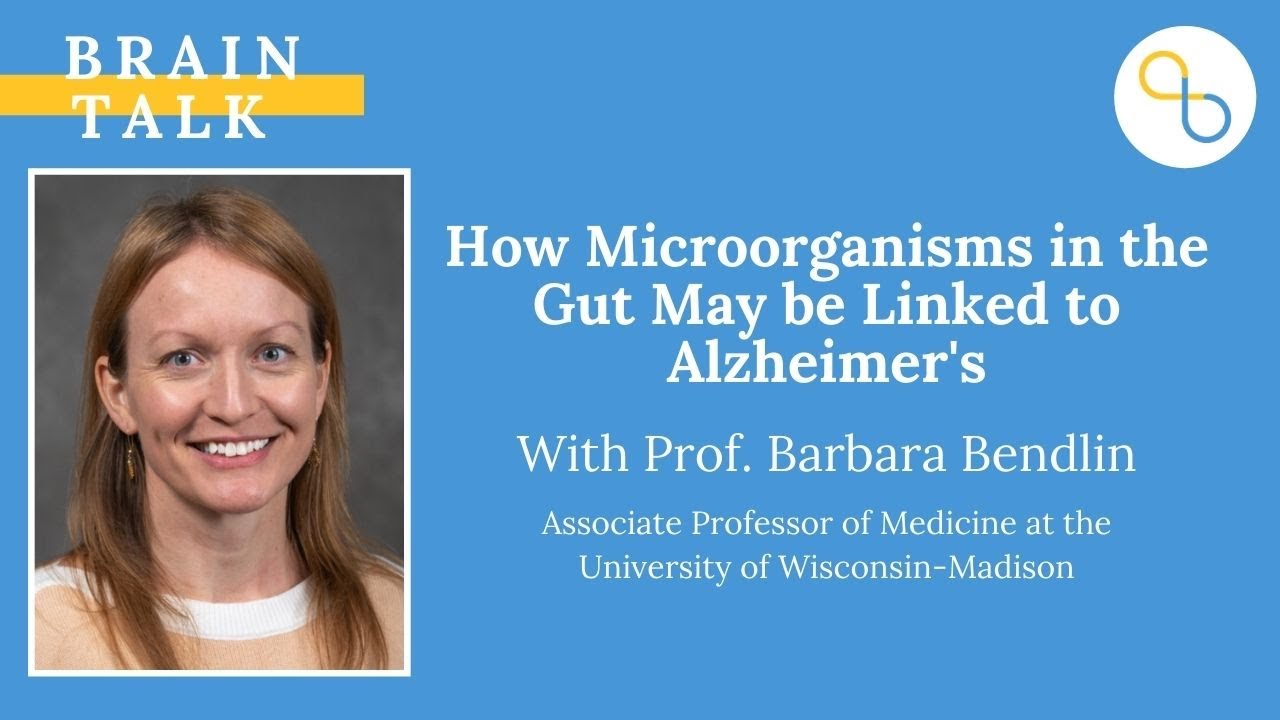 Microorganisms in the Gut May be Linked to Alzheimer's | Brain Talk | Being Patient
