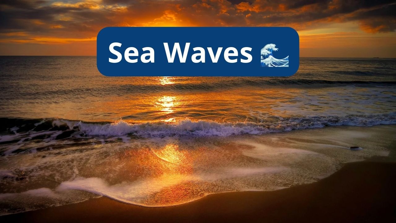 Suono delle Onde | Ocean Sounds for Deep Sleep, Study & Relaxation