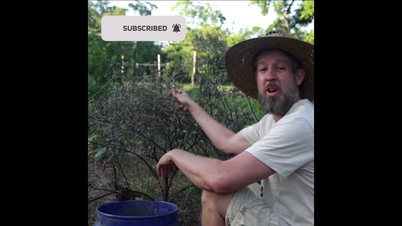 Save Seeds for Food Security!