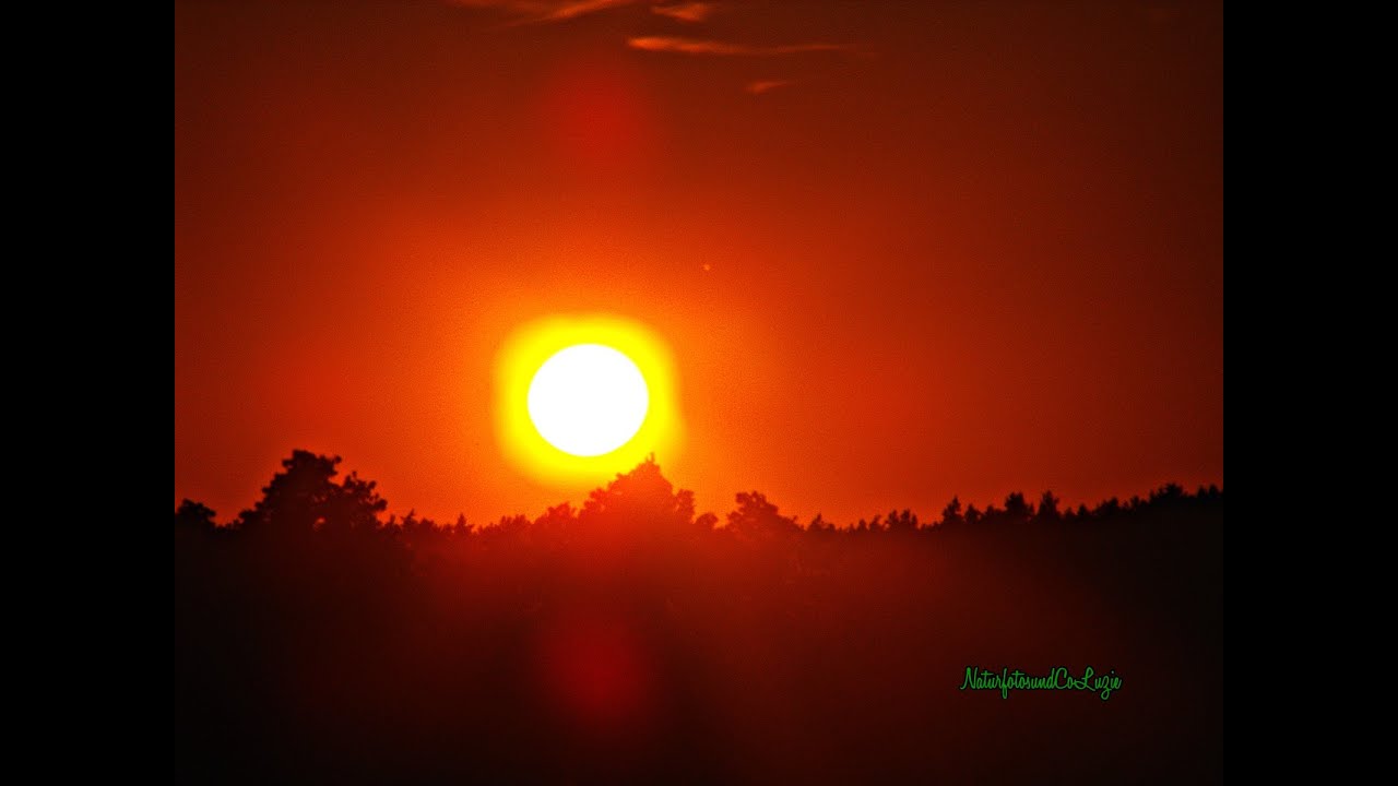 Burg Eisenhardt Bad Belzig 2013-2023 lang #video #castle #nature #photography #sunset #animals