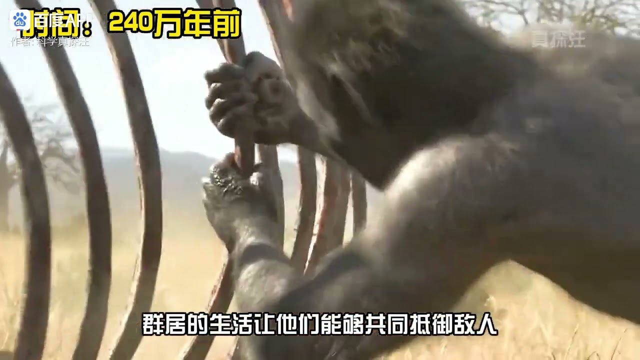 人类进化史，三分钟讲清楚，人类进化过程？