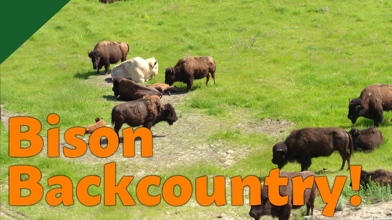 A North Dakotan Wonder - Theodore Roosevelt National Park