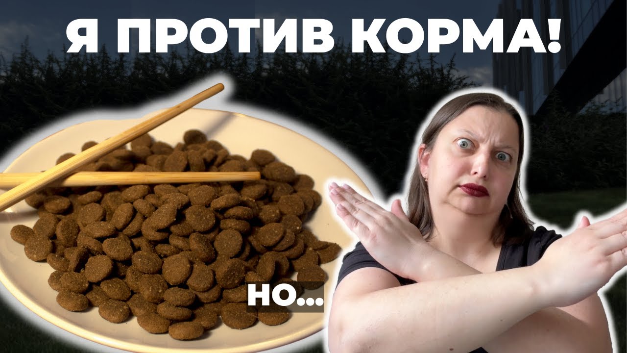 Я ПРОТИВ СУХОГО КОРМА. НО... 7 ситуаций, когда НОРМАЛЬНО кормить кормом!