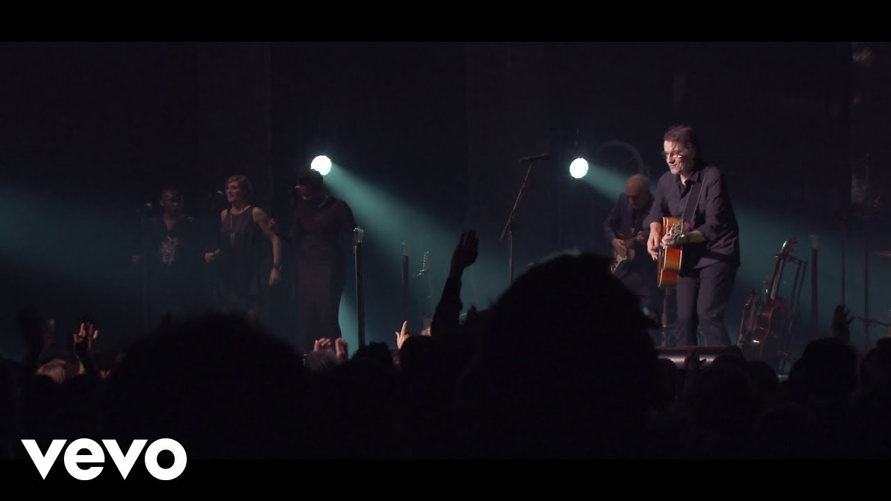 Francis Cabrel - La dame de Haute-Savoie (Live L'In Extremis Tour)