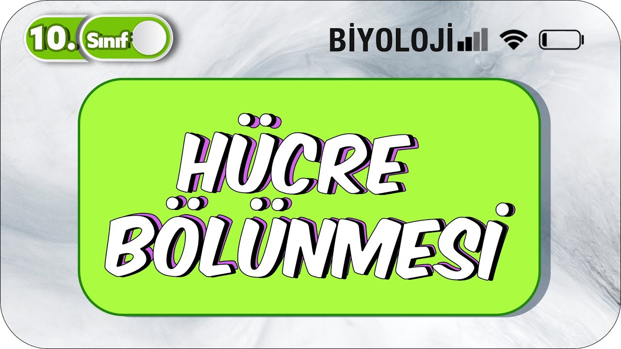 10. Sınıf Biyoloji Hücre Bölünmesi Basit Konu Anlatım #2023