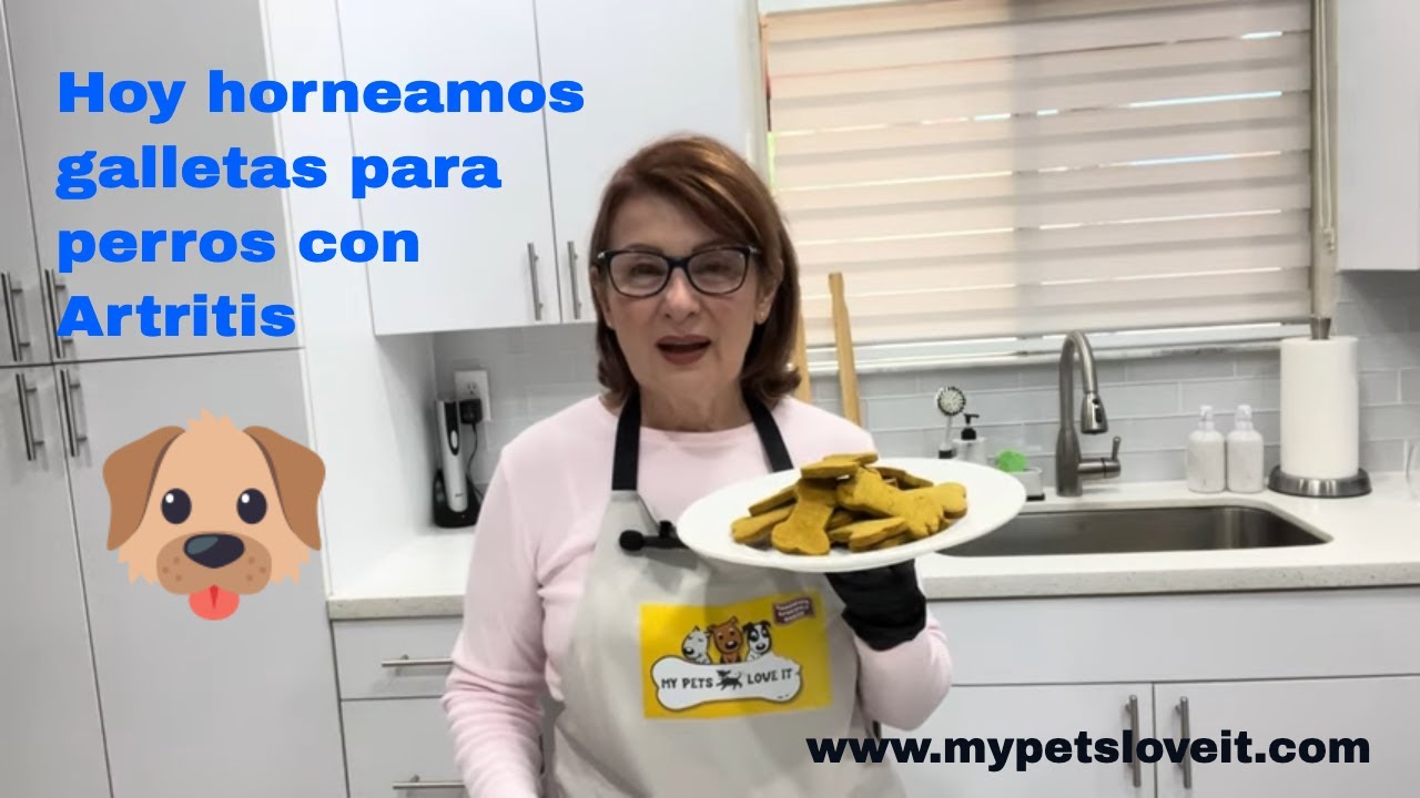 Alivia el dolor de tu perro!  Galletas  caseras para perros con problemas de Artritis . MYPETSLOVEIT