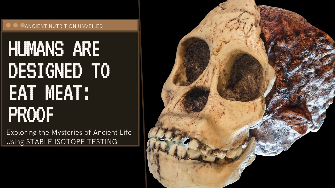 Stable Isotope Testing: Humans Are Designed To Eat Meat Fact