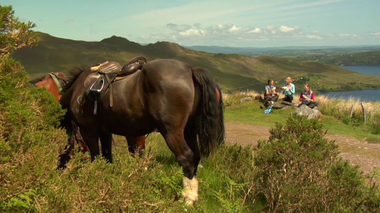 Horseback Riding the Ring of Kerry | Ireland’s Most Scenic Equestrian Adventure