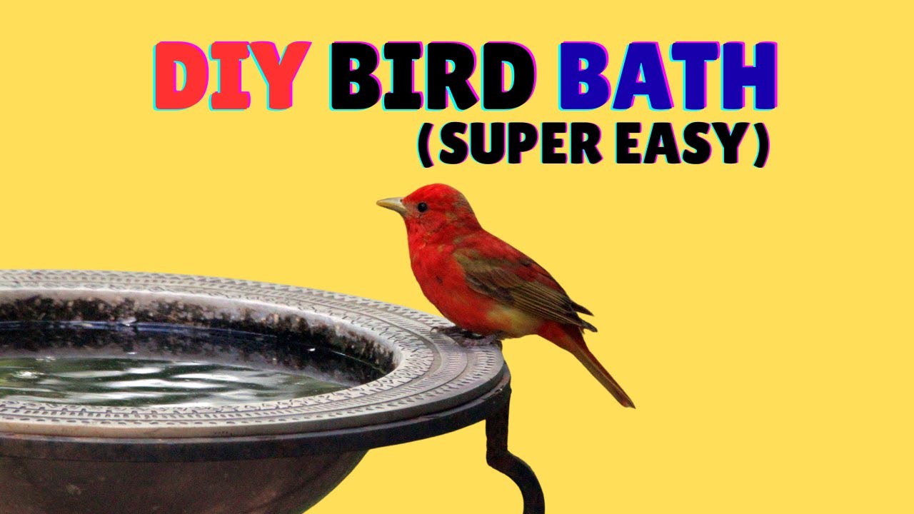 DIY Bird Bath, Super Easy Bird Bath #birds #birdbaths