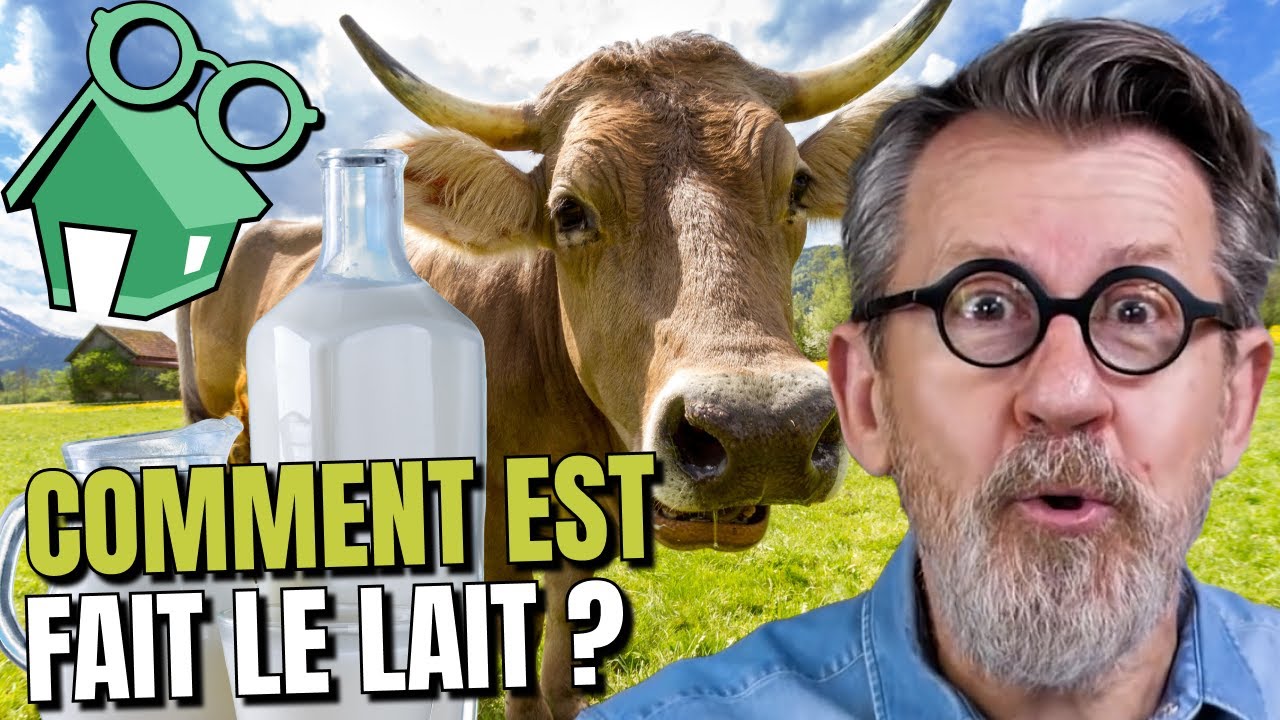 🐮Comment la vache fait-elle du lait ? 🥛