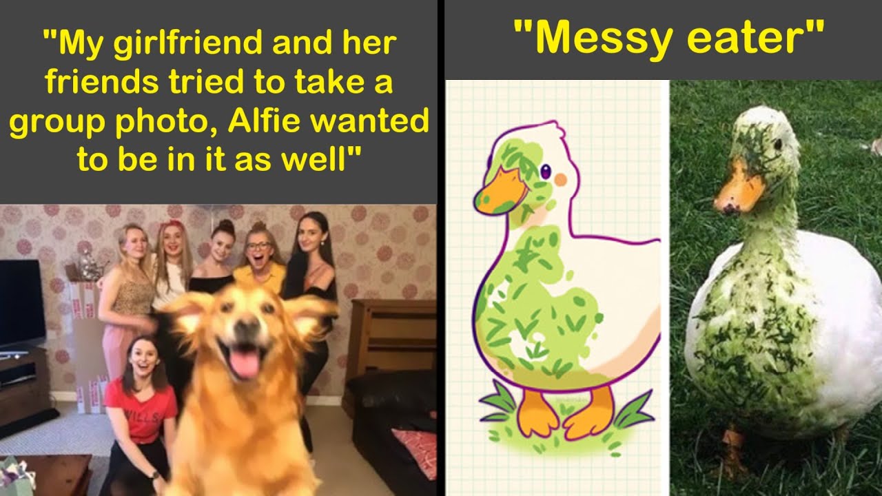 Heartwarming Posts To Combat The Negativity Of The World | Humor Sweet