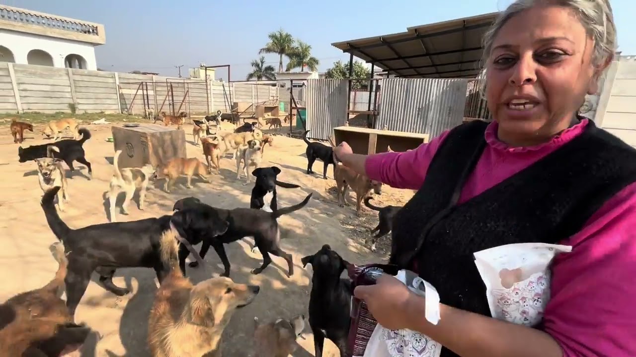 इस घर में रहते हैं 700 बच्चे