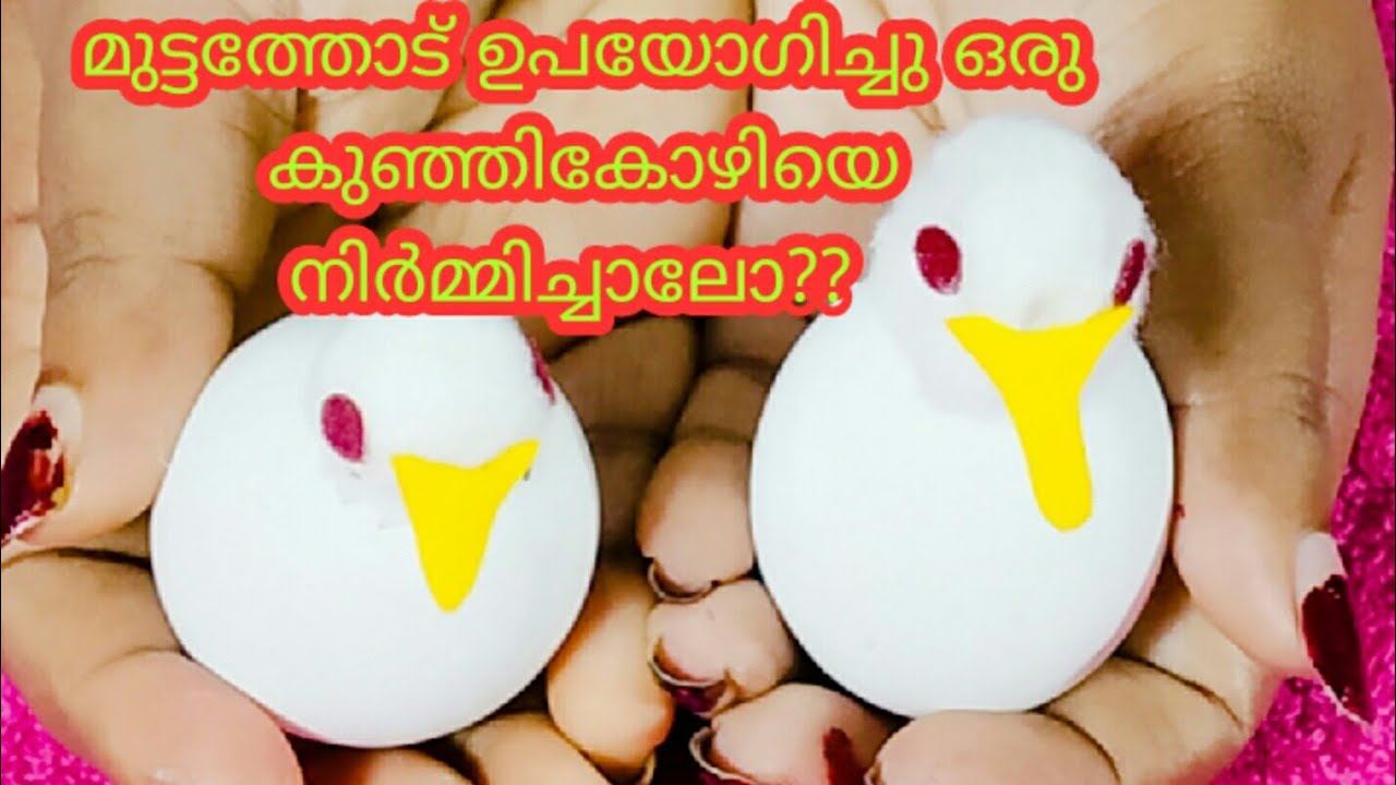 മുട്ടയുടെ തോട് കൊണ്ടൊരു craft  ചെയ്യാം/how to make chick & duckling from waste items/ Aan Aan Style