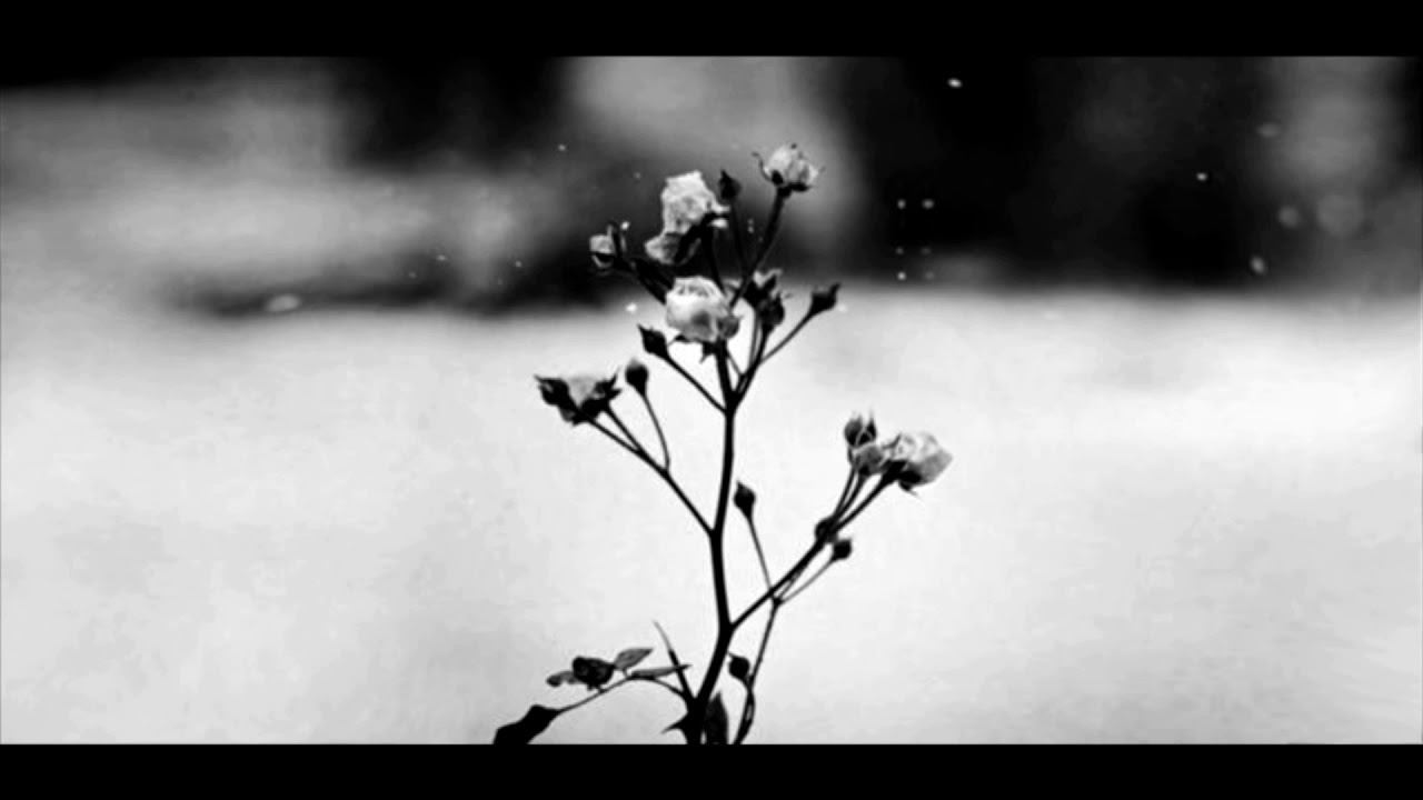 Chopin - Spring Waltz Rock Version (Mariage d'Amour) - Backing Track