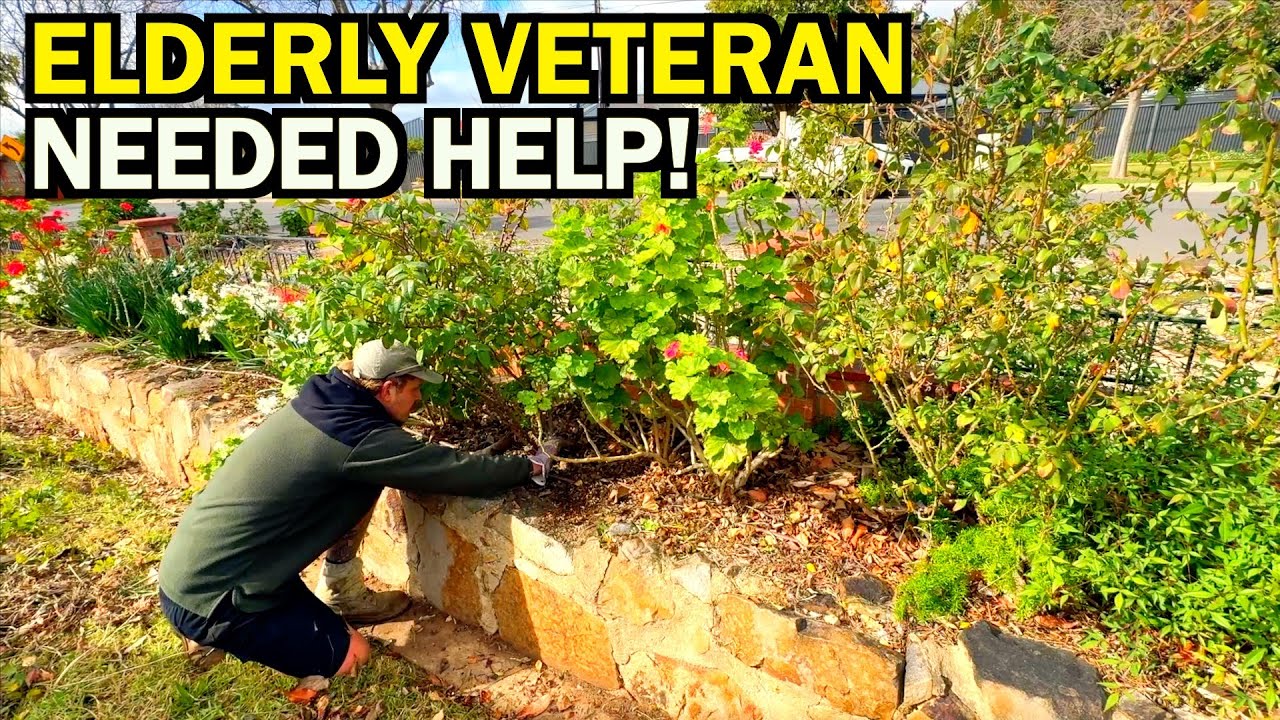 VETERAN Couldn't Cope With His OUT OF CONTROL Yard - I Gave Him PEACE