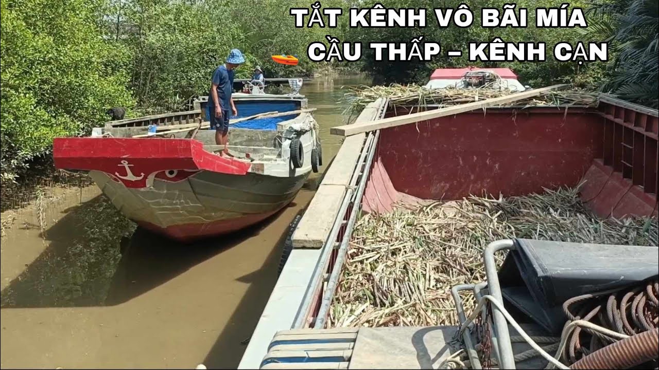 🚤 Luồn kênh cạn vô bãi mía mới | Tránh ghe ngược chiều, vượt cầu thấp căng thẳng