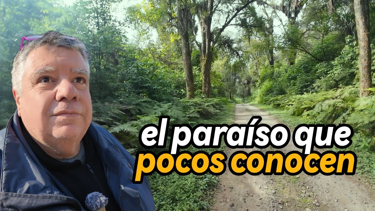 Descubriendo RUTAS OCULTAS de la SELVA tucumana