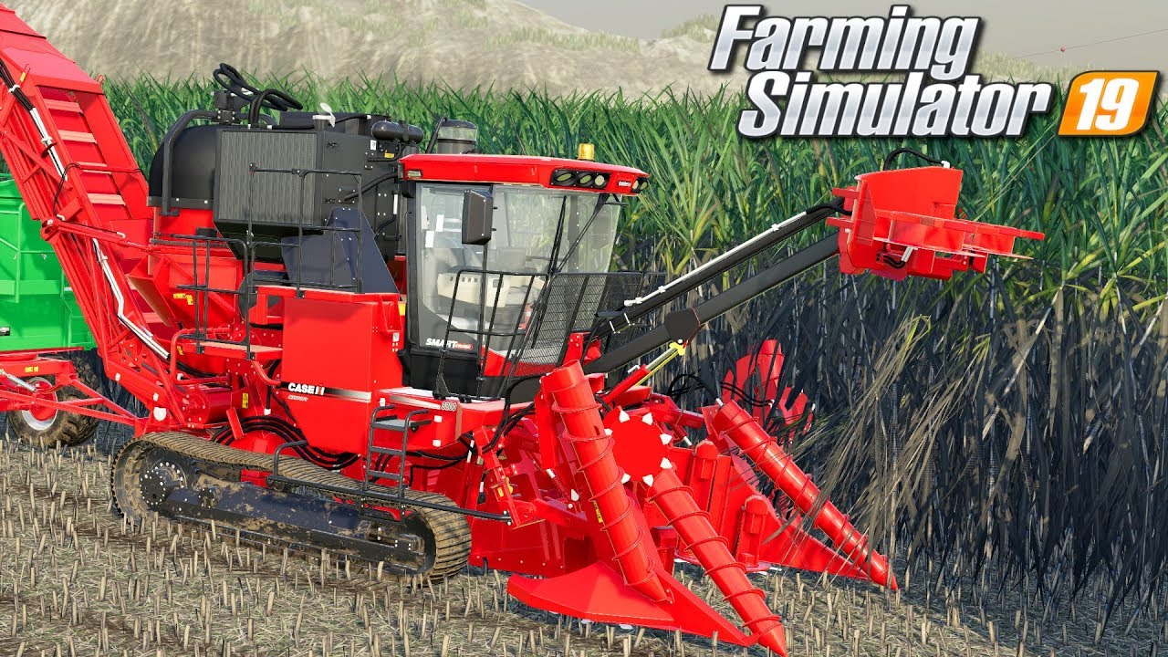 Trzcina cukrowa - Farming Simulator 19 | #67