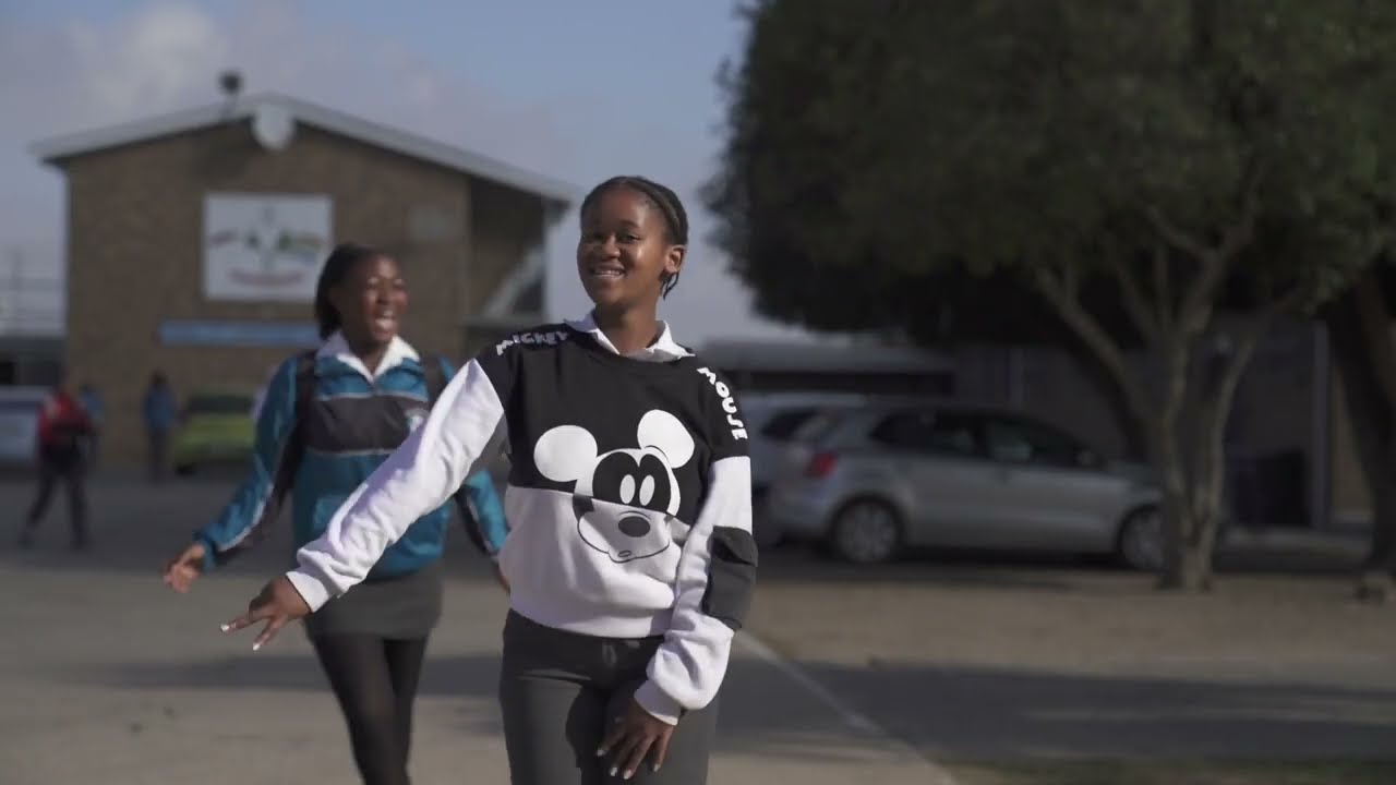 Online Partnerships between South African and Danish schools