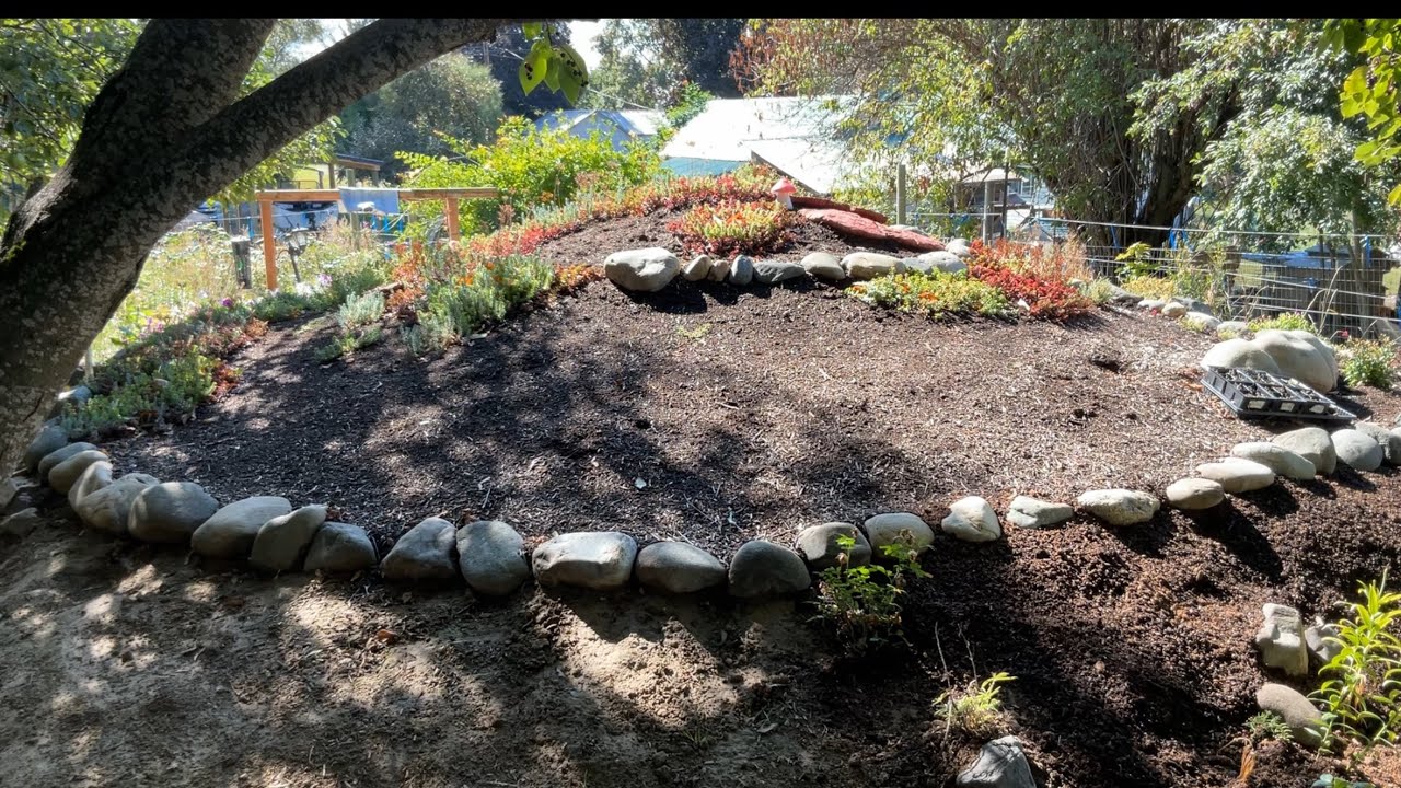 Side project episode 13 :￼ the living roof in my garden ￼