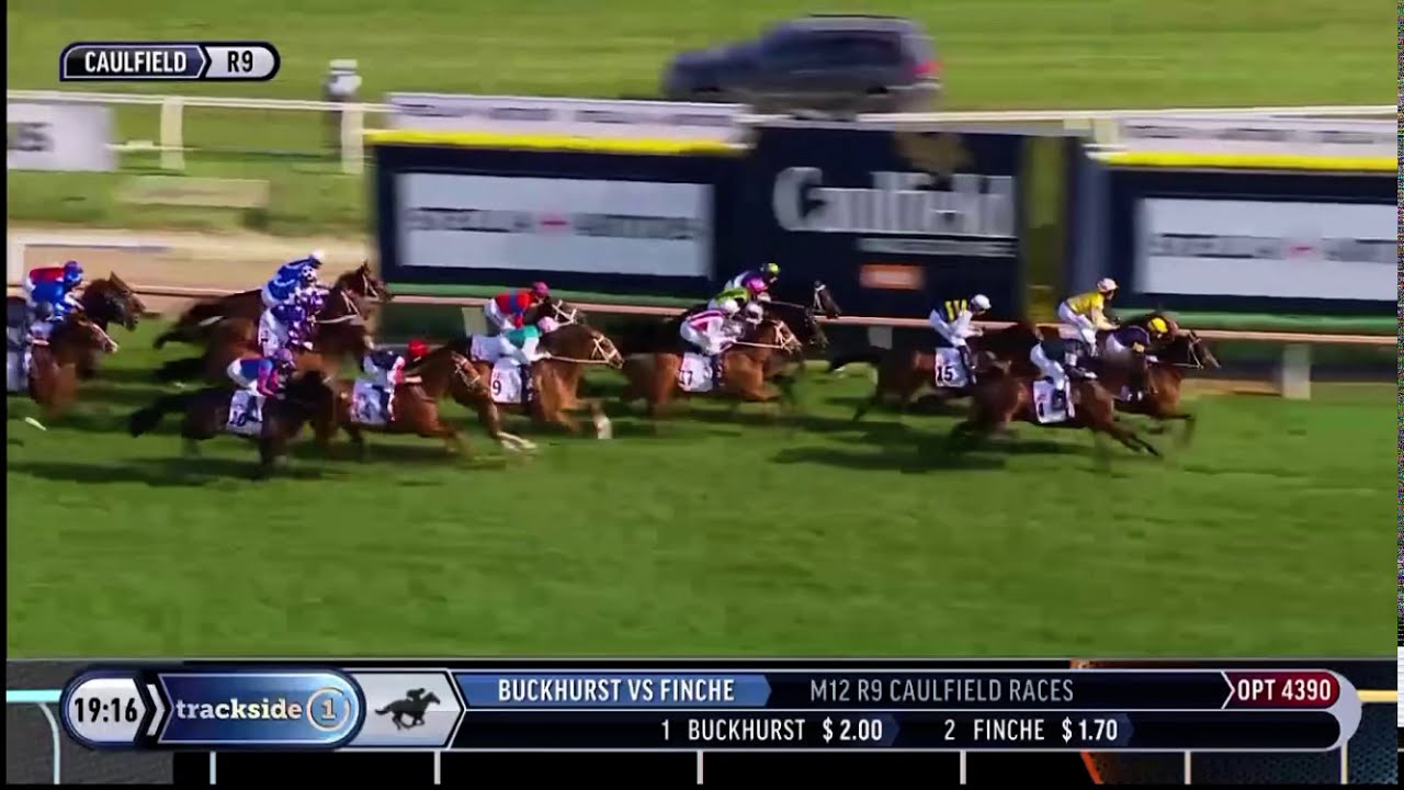 Caulfield Cup 2020 Verry Elleegant