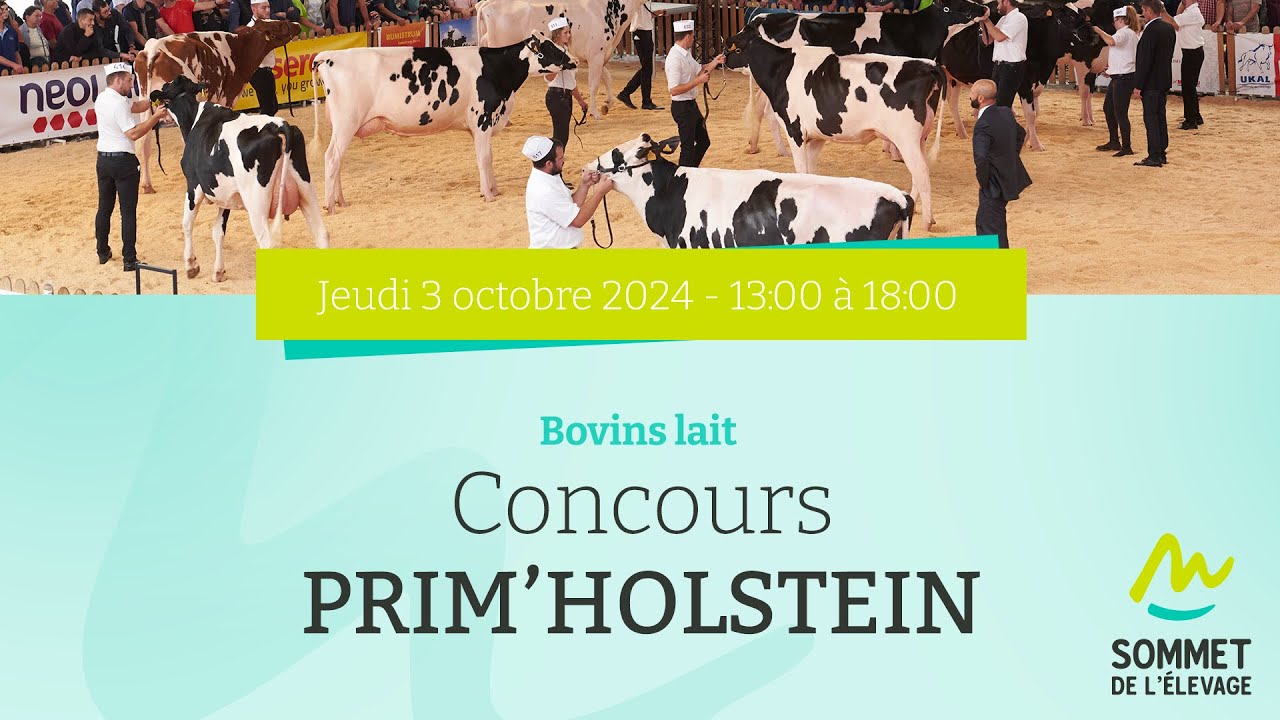 Sommet de l'élevage 2024 - Concours Prim'Holstein - Bovins lait - 03/10/2024
