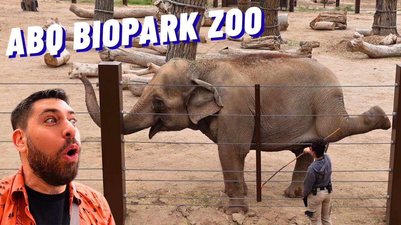 ABQ BioPark Zoo Full Tour | Discover The Incredible Zoo Hidden in Albuquerque’s Desert