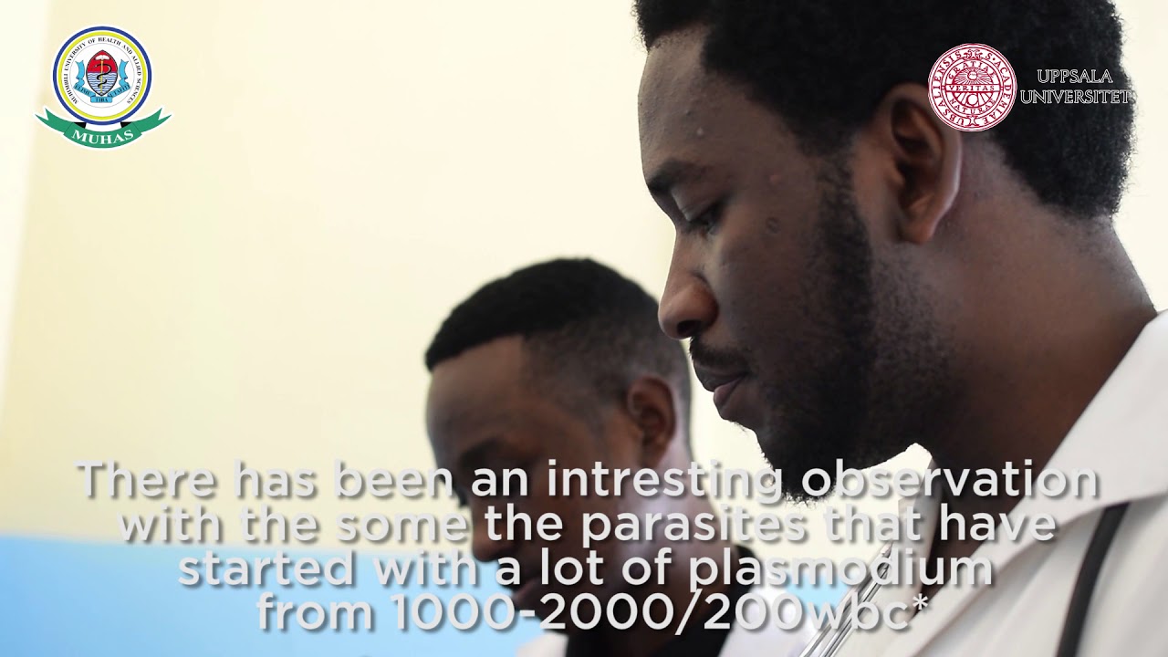 ALU PQ Documentary