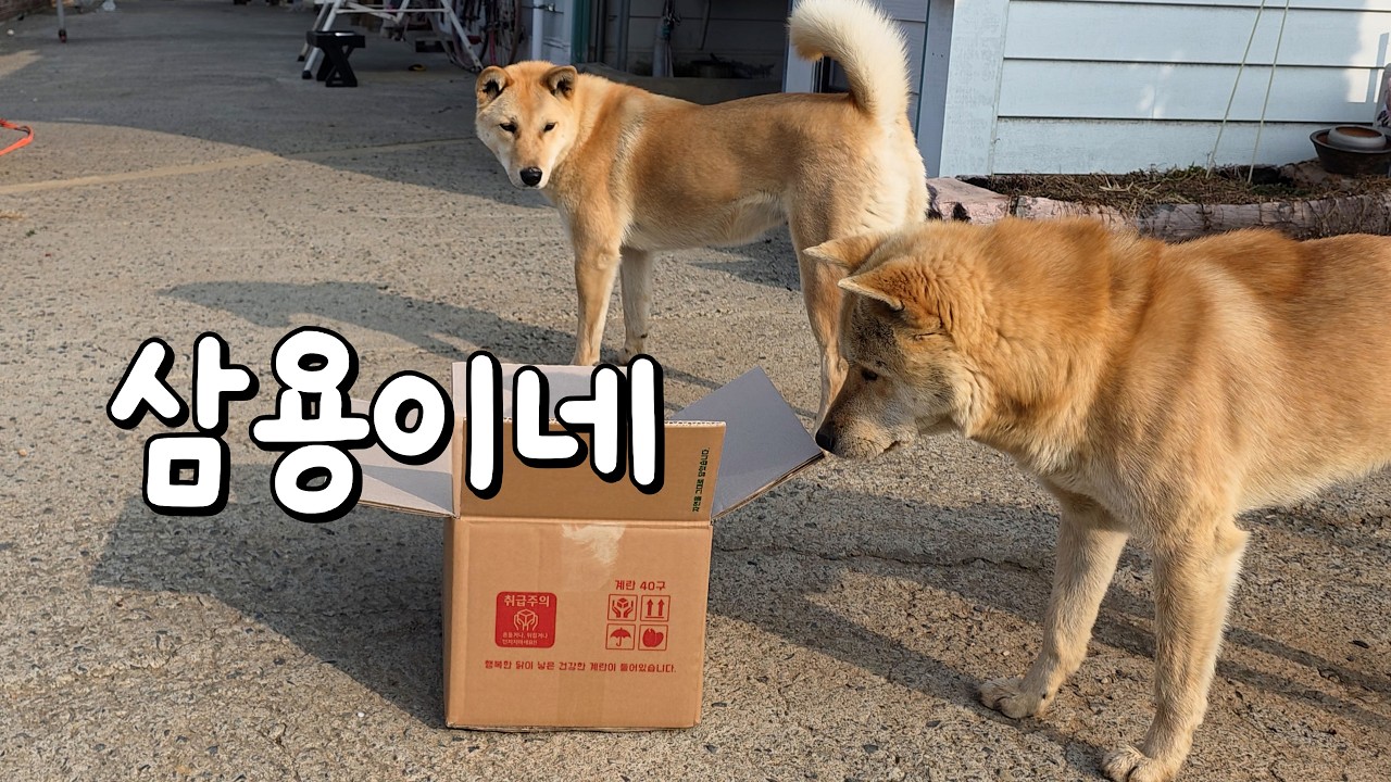 아쉬움에 떠나지 못합니다