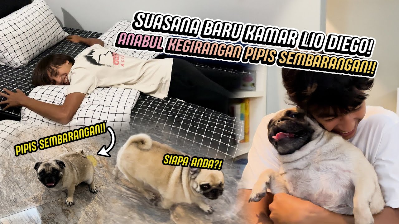 LIBURAN SELESAI!! THE SINATHRYA BALIK KE SERPONG LAGI, CHLOE DING DONG CUEKIN DARIUS!!