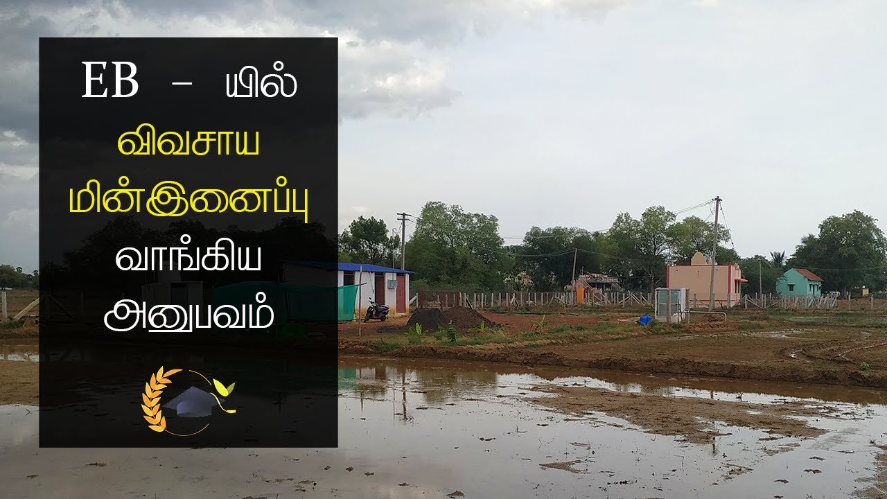 Agriculture EB Service in tamilnadu |agriculture eb connection | Agriculture EB connection details