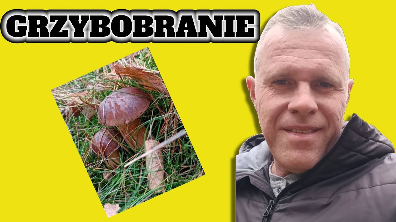 Grzybobranie