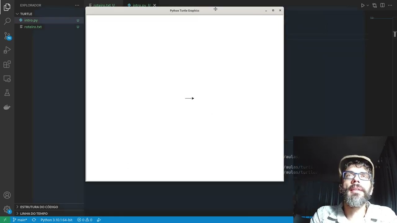 Introdução à programação com o Python Turtle