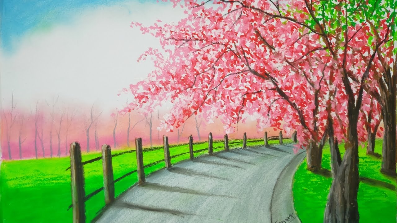 How to draw Trees/Pathway/Cherry blossom/Nature with oil pastel @DrawingScenery