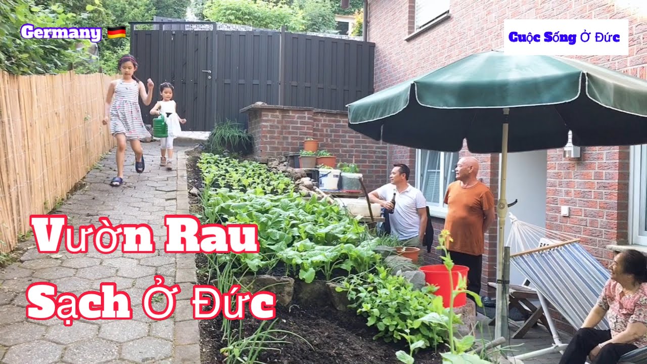 CUỘC SỐNG Ở ĐỨC / VƯỜN RAU MẸ CHỒNG Ở ĐỨC / người Việt Hải ngoại // Xuân Mận Family