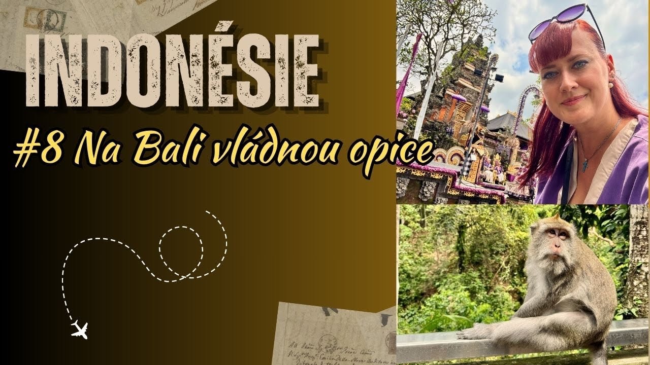 8. Bali - Opičí les a Vodní palác | Indonésie