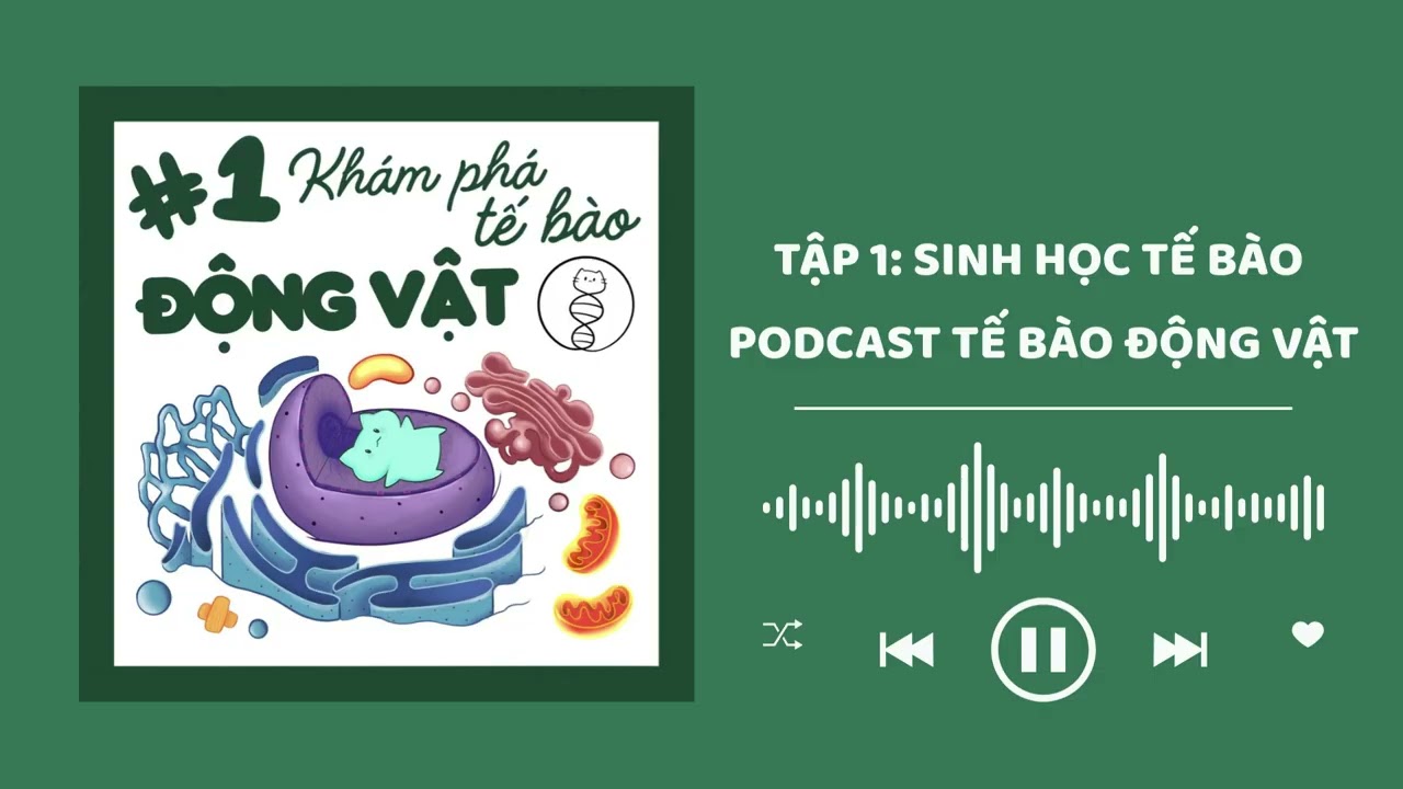 TẬP 1 | SINH HỌC TẾ BÀO | PODCAST TẾ BÀO ĐỘNG VẬT
