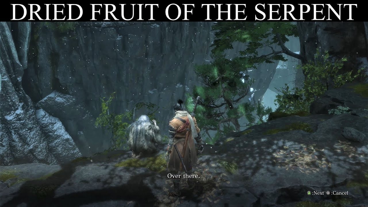 Sekiro: Dried Fruit Of The Serpent - Old Lady Quest