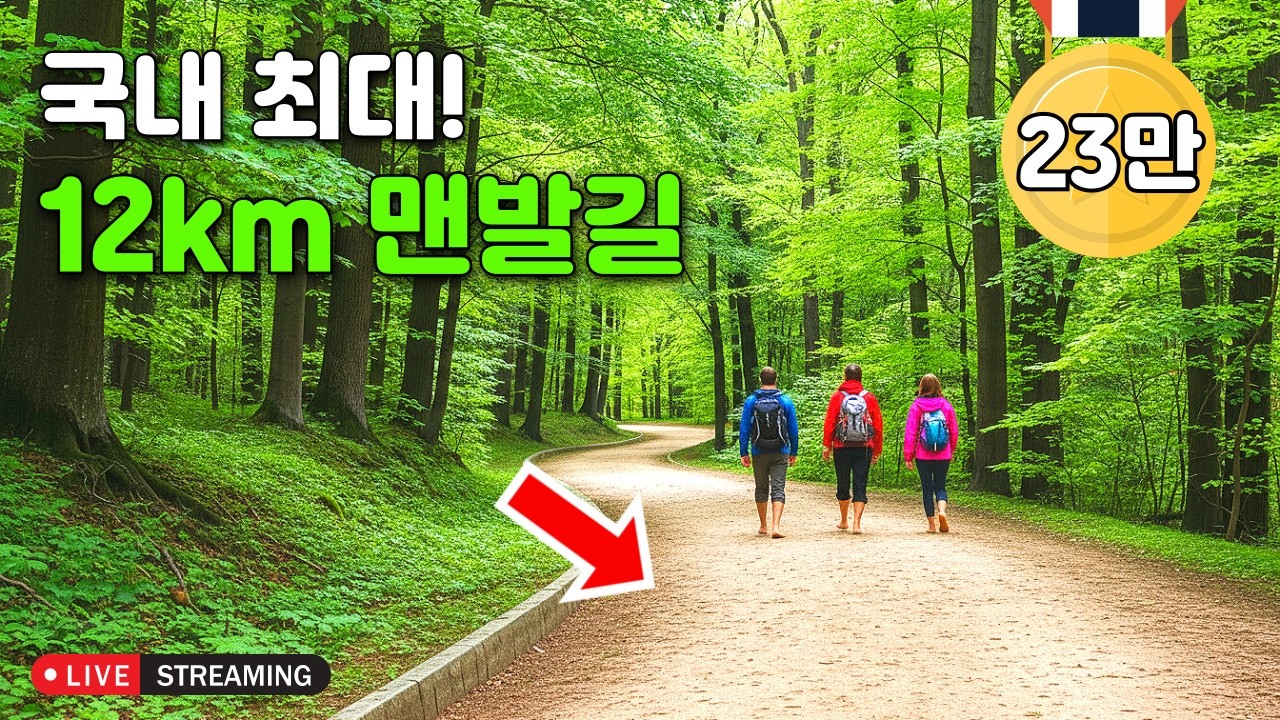 [라이브소통] 🚆단 90분만에 도착! 한번은 꼭 가봐야할 국내 트레킹 여행 코스, 걷기 진짜 좋네요!