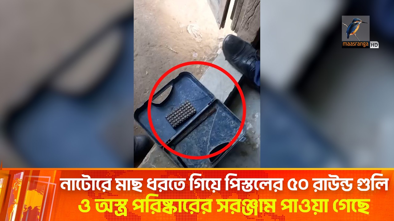 নদীতে মাছ ধরতে গিয়ে মিলল ৫০ রাউন্ড গু'লি | Natore | Maasranga News