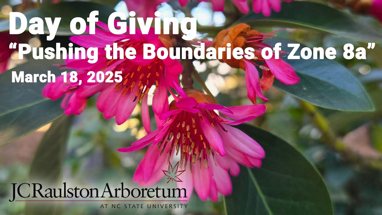 Day of Giving - 