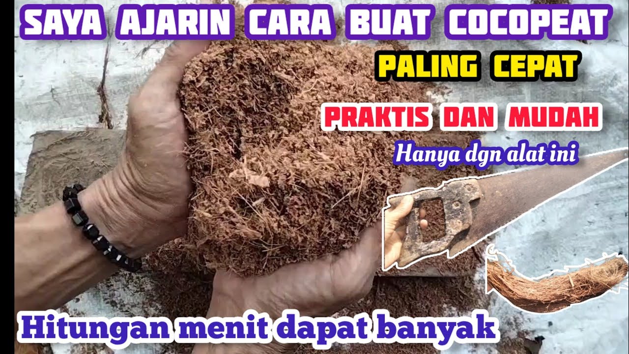 cara membuat cocopeat paling cepat, praktis dan mudah dengan menggunakan gergaji
