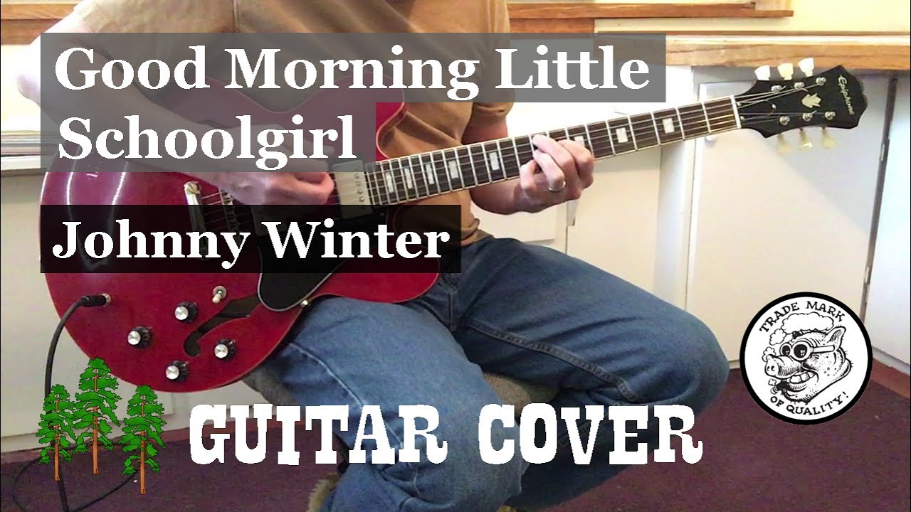 Good Morning Little School Girl - Johnny Winter Guitar Cover