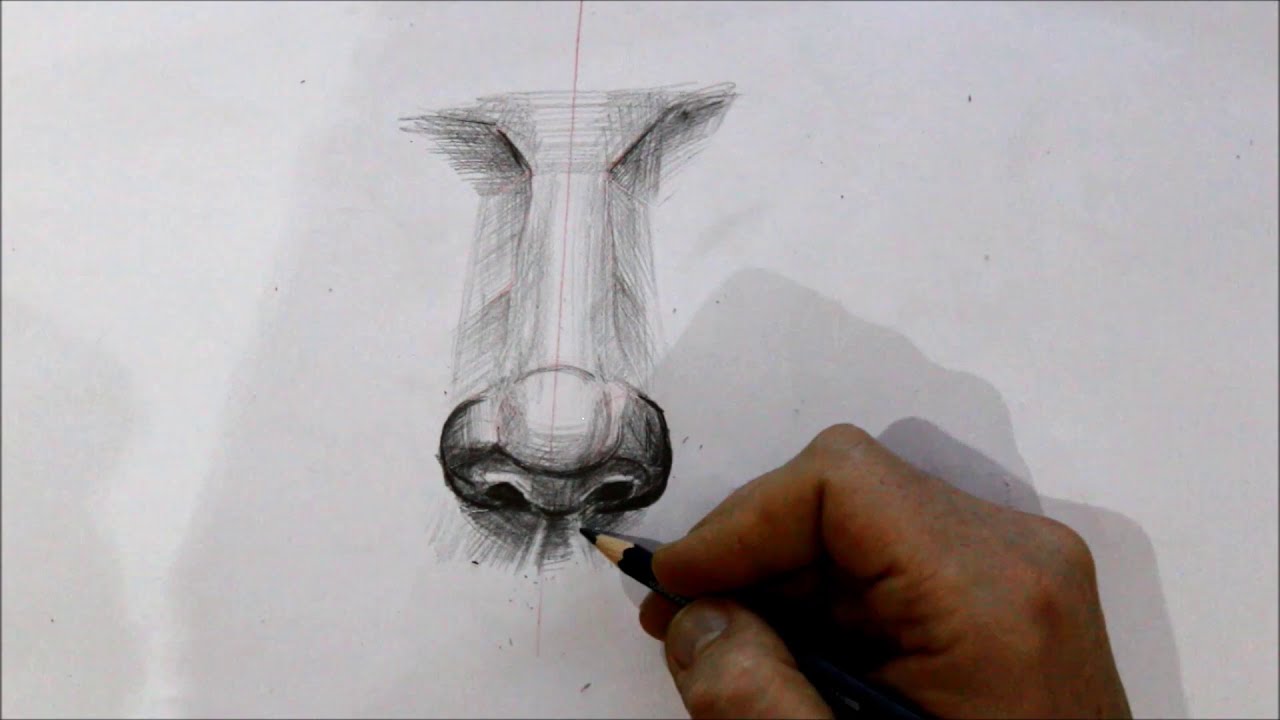 BURUN NASIL ÇİZİLİR/HOW TO DRAW A NOSE