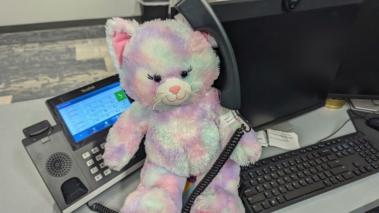 Stuffie Sleepover 2026 final