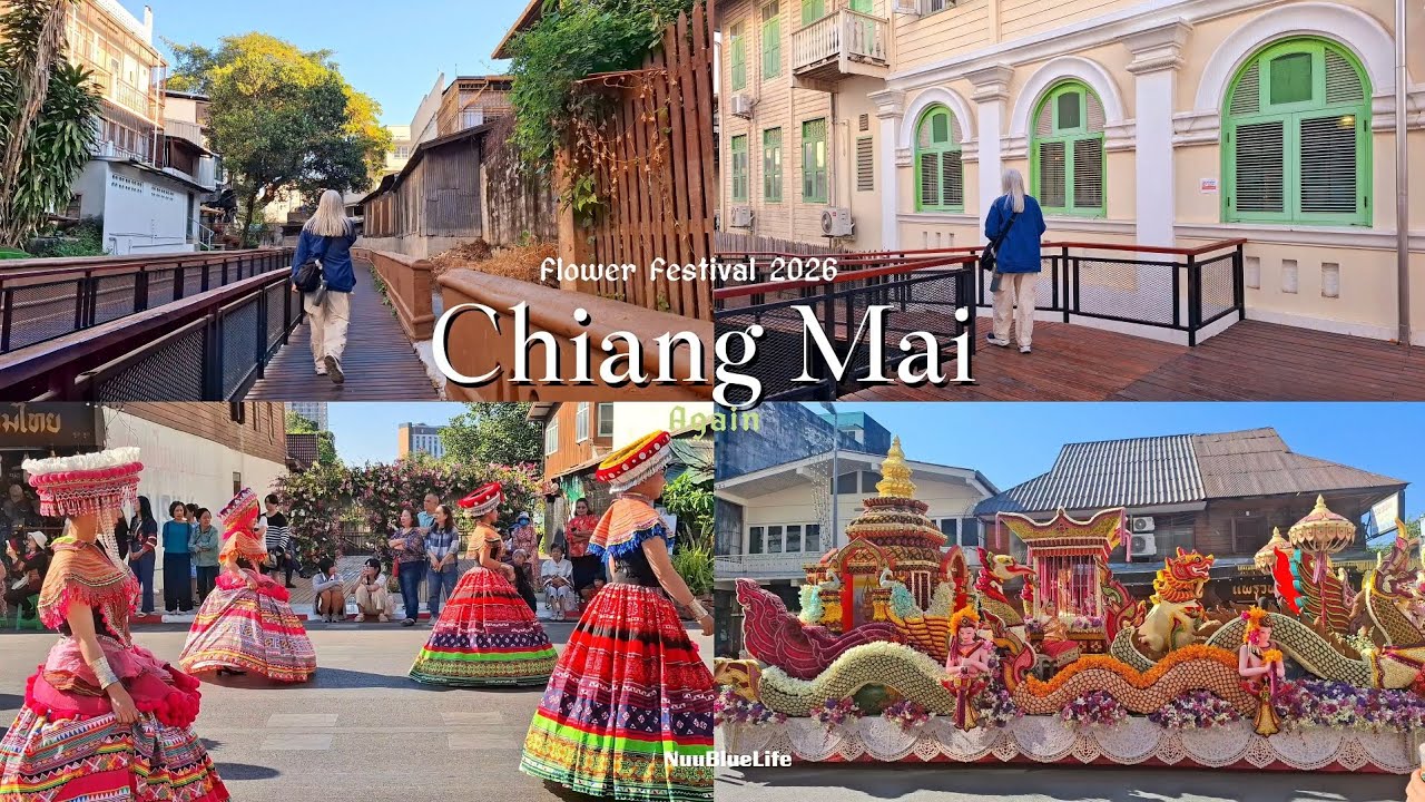 Chiang Mai again | Flower Festival 2026|นั่งรถไฟ Slow Life นอนบูทีคโฮเท็ลเล็กๆ เชียงใหม่ #momlife 