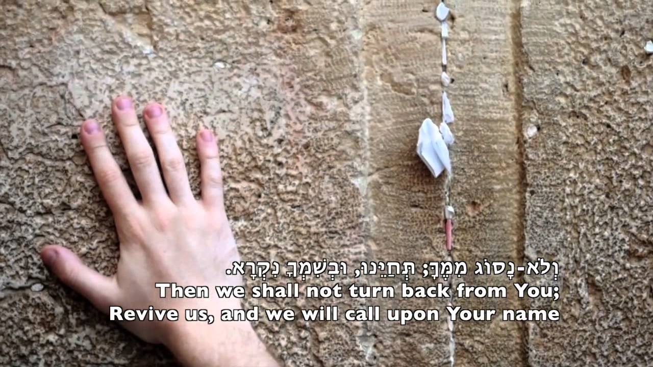 Gefen Alon Tamir גפן